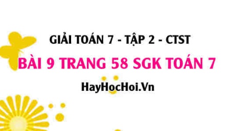 Giải bài 9 trang 58 Toán 7 tập 2 SGK Chân trời sáng tạo